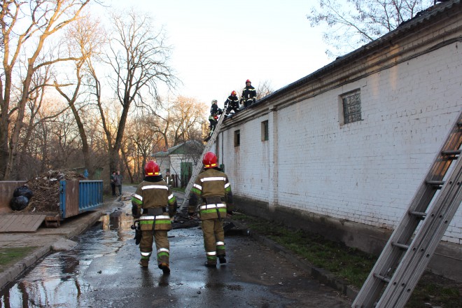 пожар в Киевском зоопарке, фото 1