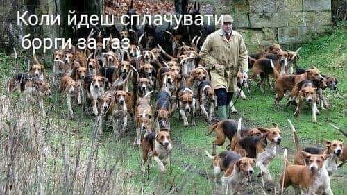 продай собаку - заплати на газ (Евгений Брагарь) фотожаба 6