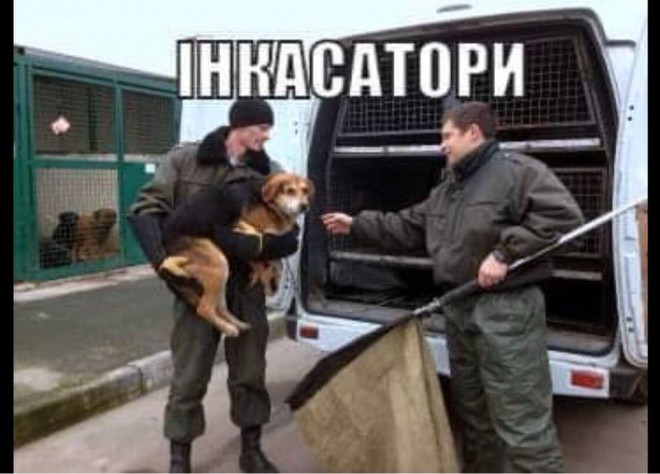 продай собаку - заплати на газ (Евгений Брагарь) фотожаба 8