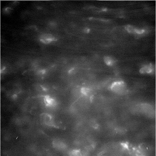 фотография 2 Сатурна, сделанная Cassini при сближении с ним