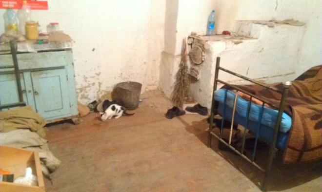 безпритульні в рабстві на фермі в Немирівському районі на фото 2