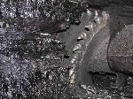 На шахте в Донецке погибли 2 горняка