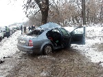 На Донетчине водитель врезался в дерево - двое погибших