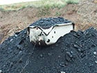В Донецкой области в угольной копанке погибли 2 человека