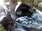 Во Львовской области машина столкнулась с деревом - двое погибших