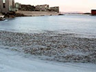 Тысячи рыб вмерзли в лед под Норвегией