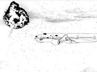 «Шпигель» представил расследование сбитого на Донбассе самолета «Малазийских авиалиний»