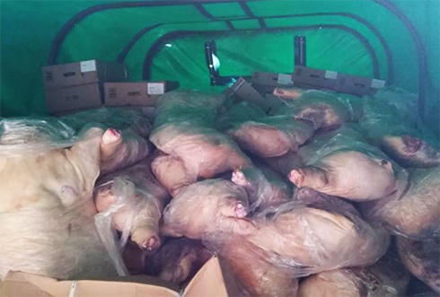 Комбат сопровождал 10 тонн мяса на оккупированную часть Луганщины - фото