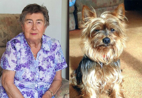 Пожилая британка покусала овчарка, чтобы защитить свою маленькую собачку - фото