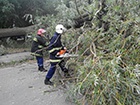 На Шацких озерах 7 отдыхающих получили ранения в результате урагана