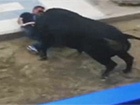 В Испании во время забега быков пострадали 11 человек