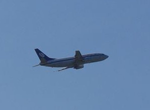 Экс-«регионалы» вылетели из Одесского аэропорта - фото