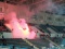 Полиция жестко задержала ультрасов на матче Черноморец-Ворскла