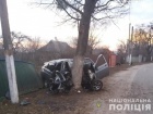На Киевщине легковушку раздавило о дерево, погибли 5 человек