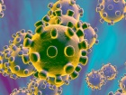 В мире от нового коронавируса уже выздоровели 25360 человек