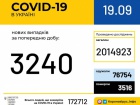 +3240 случаев COVID-19