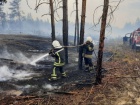 Пожары у линии разграничения на Луганщине продолжают тушить