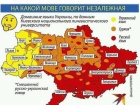 Вадим Рабинович поддерживает российскую оккупацию