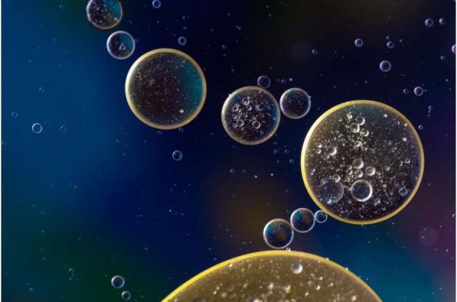 Лабораторные эксперименты с высоким разрешением показывают, как клетки "едят" - фото