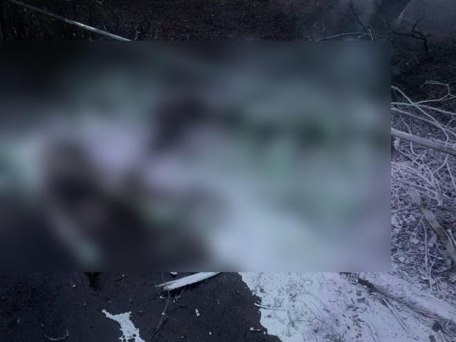 В результате удара по Киевской телебашне погибли мирные люди - фото