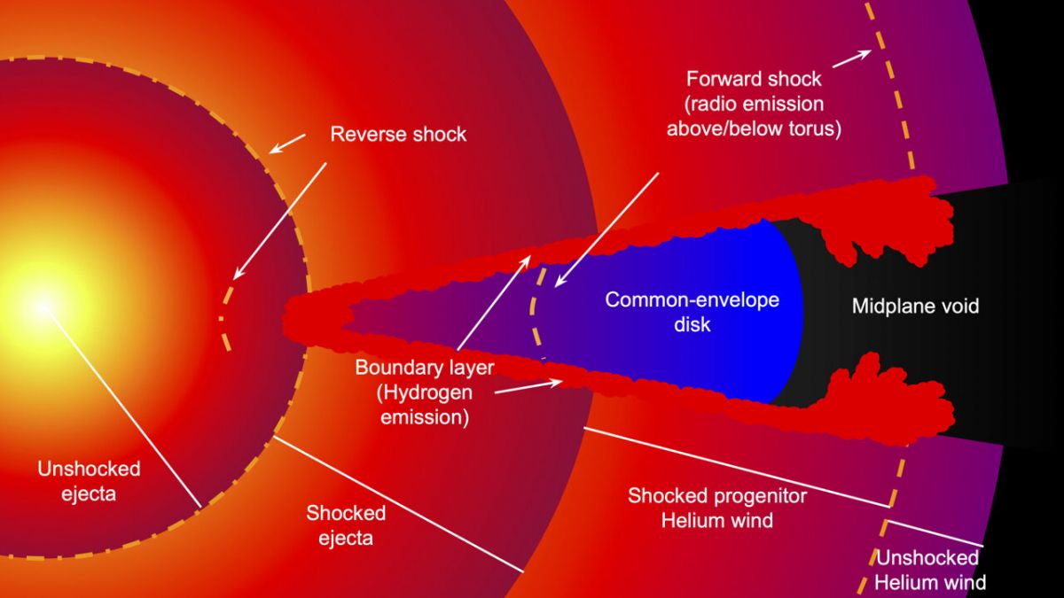 Сверхновая раскрыла астрономам свои секреты - фото