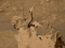 На Марсе обнаружены причудливые шипы, торчащие из поверхности