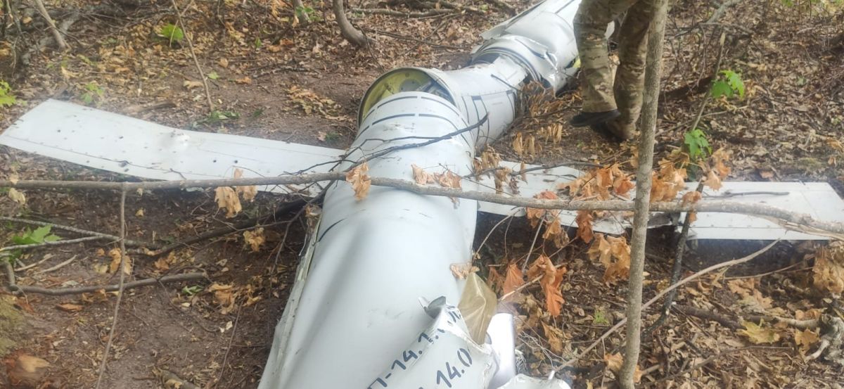 В лесу на Виннитчине нашли сбитую ракету (фото) - фото