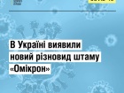 В Украине обнаружена новая разновидность “Омикрона”
