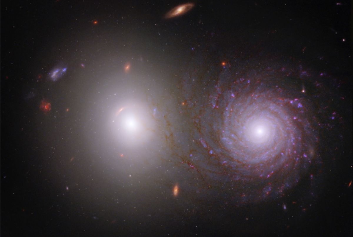 “Уэбб” разглядел кое-что интересное в галактике, в отличие от “Хаббла” - фото