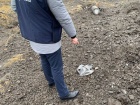 Оккупанты нанесли массированный ракетный удар по энергетике Харькова