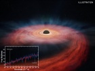 Астрономы определили, что за звезда была разрушена гигантской черной дырой