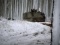 Война в Украине: ситуация на вечер 26 ноября
