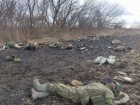 Появились кадры с вероятно последствиями удара по оккупантам возле Трудовского (18+)